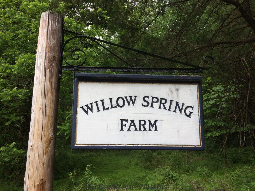 Willow Spring Farm